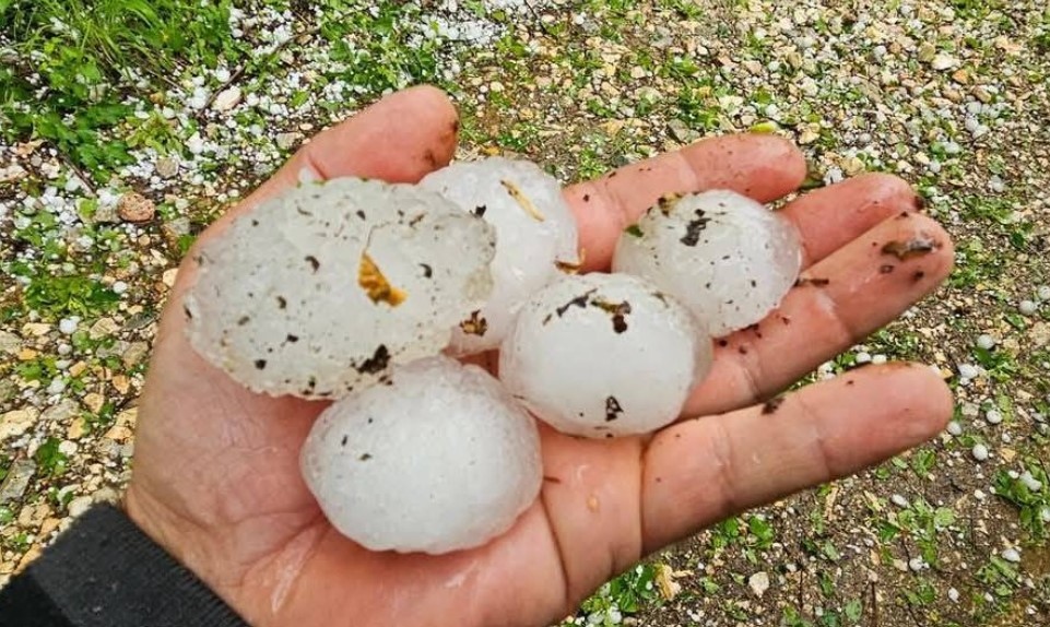 70 от реколтата в асеновградското село Тополово е напълно унищожена