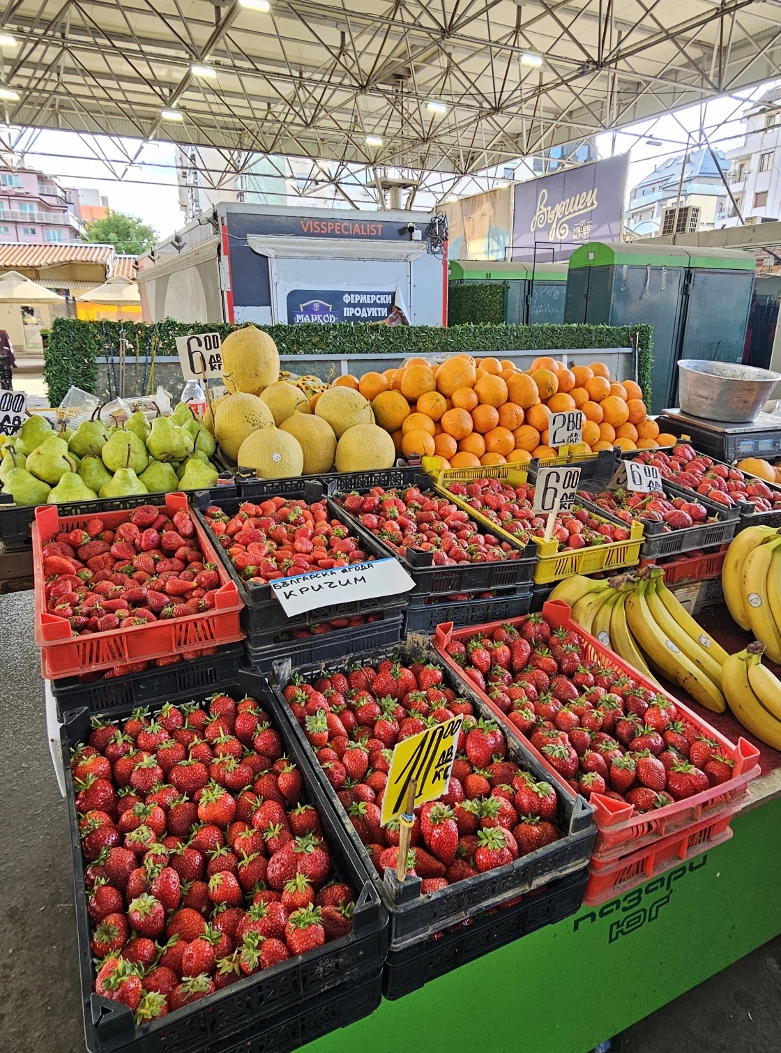 Този уикенд в Кричим се провежда  традиционният фестивал на ягодата