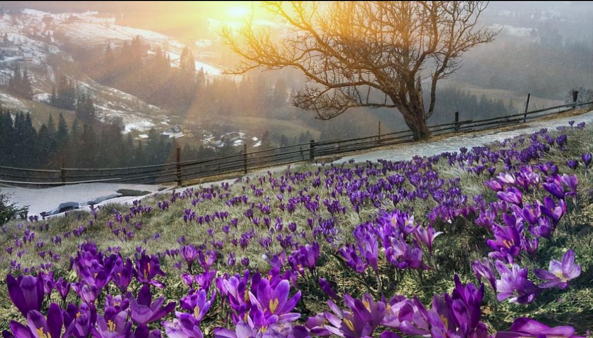 Днес над много райони облачността временно ще намалее но сутринта