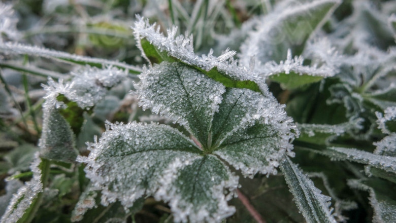 За сряда 14 май от Националния институт по метеорология и