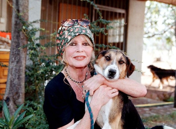 Френската и световна кино легенда Брижит Бардо призова за премахване