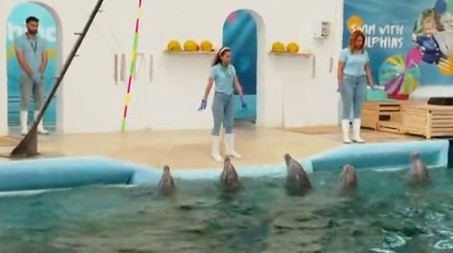 Делфинариумът във Варна открива летния сезон и вече ще посреща