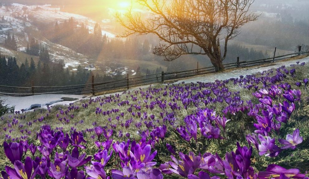 Над по голямата част от страната ще преобладава слънчево време предаде