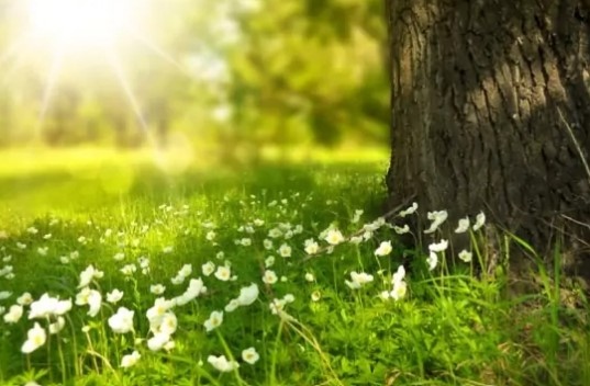 Днес ще бъде предимно слънчево В следобедните часове главно над