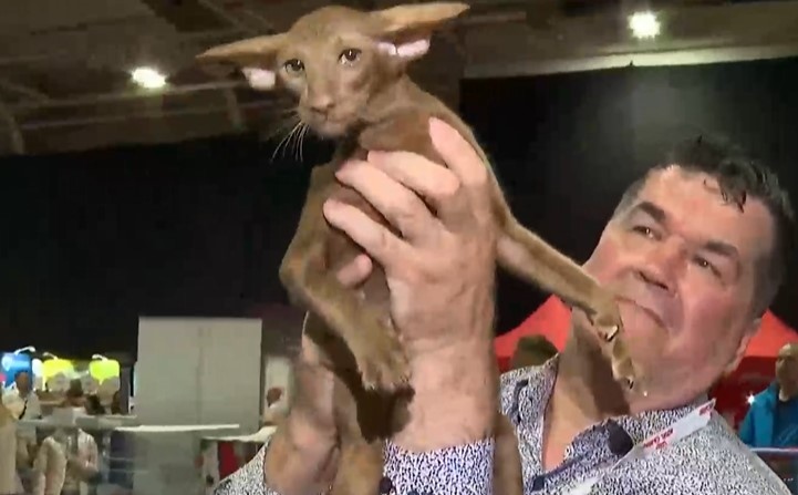 Една изложба като никоя друга На нея ще може да