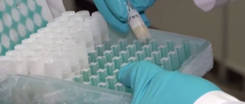 Две нови скринингови кампании за откриване и превенция на рак ще започнат