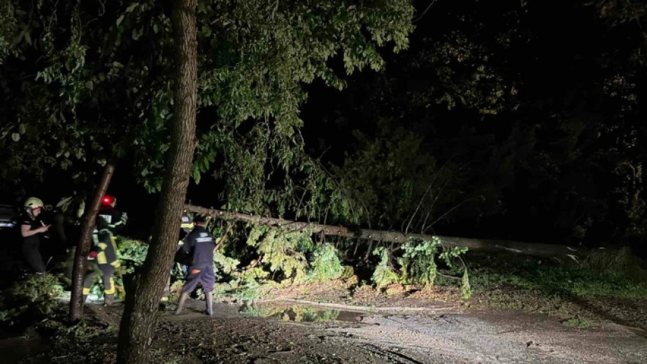 Градушка премесена с дъжд и силна буря връхлетяха снощи Хисаря
