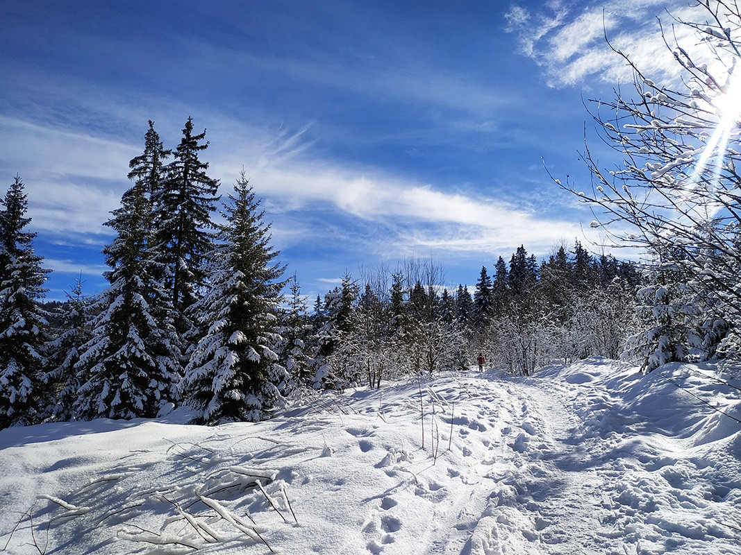 Зимата изглежда се завърна по планините подсказват кадри от Витоша
