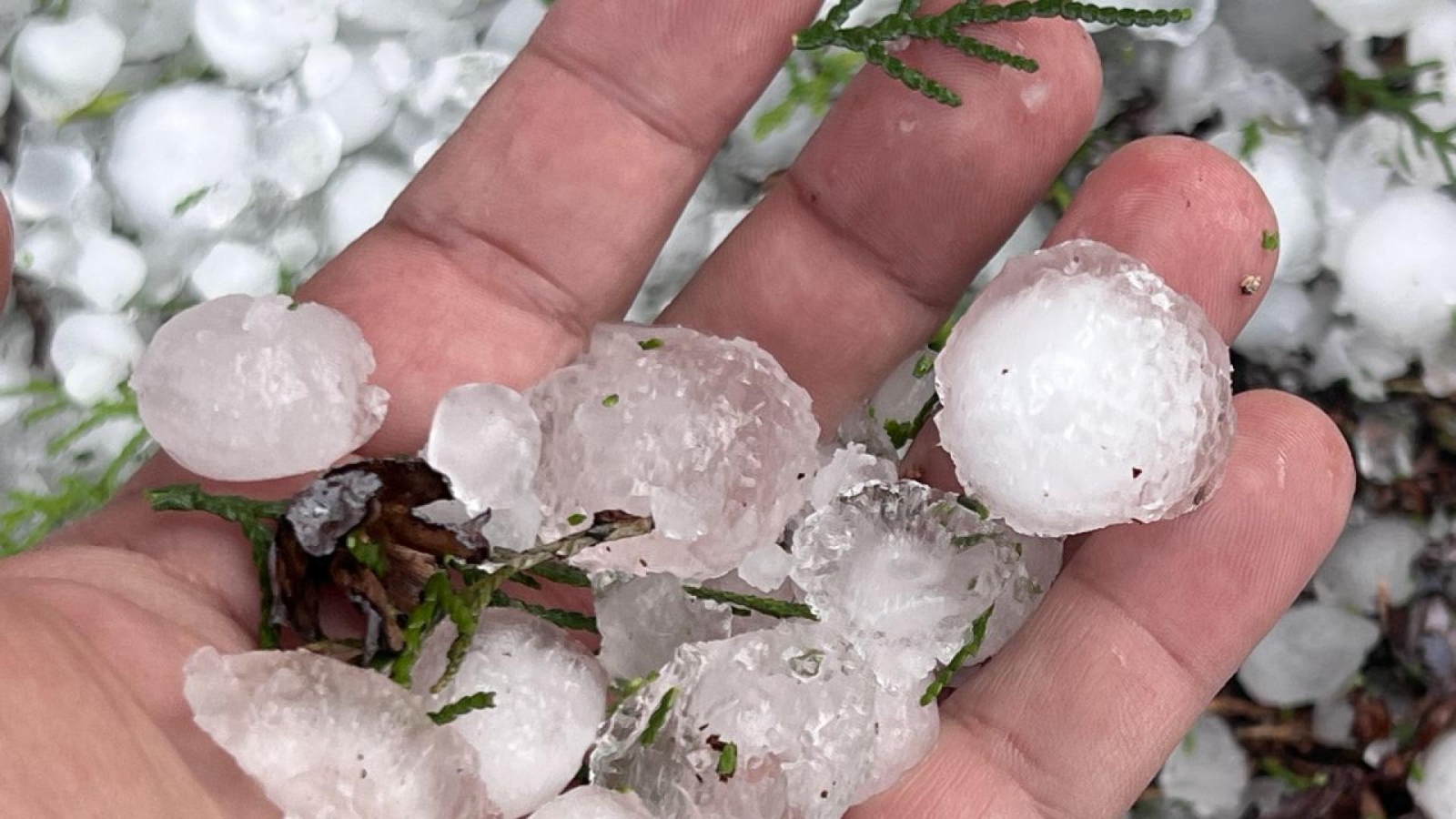 Частично бедствено положение е в сила за три новозагорски села