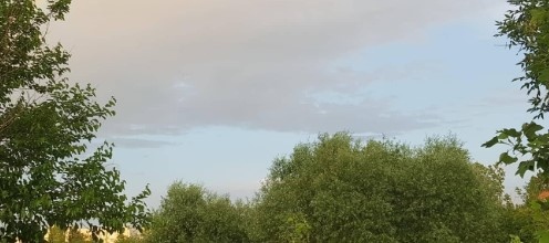 Днес преди обяд предимно слънчево ще бъде над Северозападна и