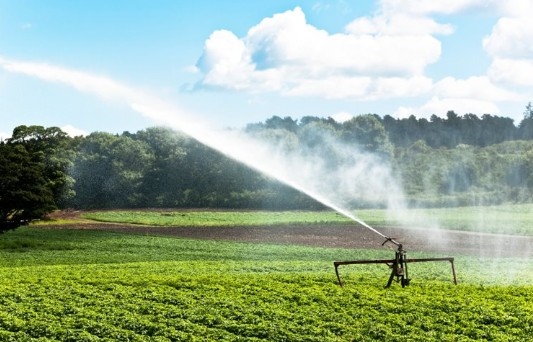 Напоителни системи ЕАД стартира поливния сезон за 2025 г Вода се