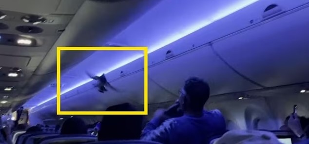 Полет на авиокомпанията Delta Airlines от Минесота до Уисконсин беше