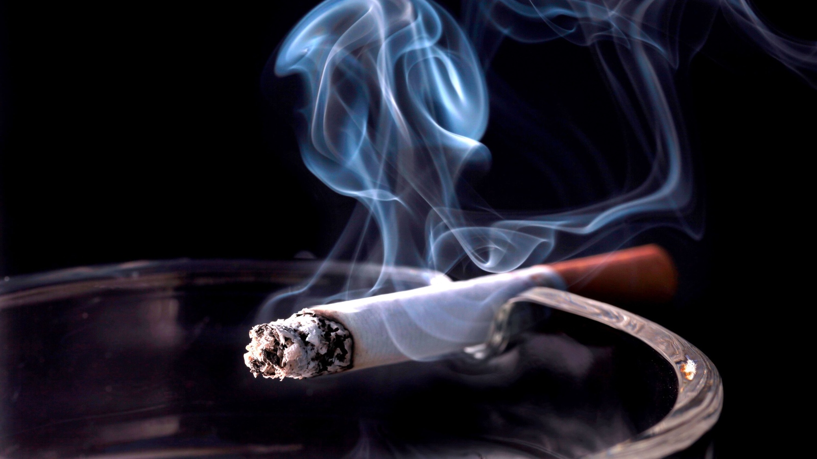 Всяка година на 31 май Световната здравна организация отбелязва Световния