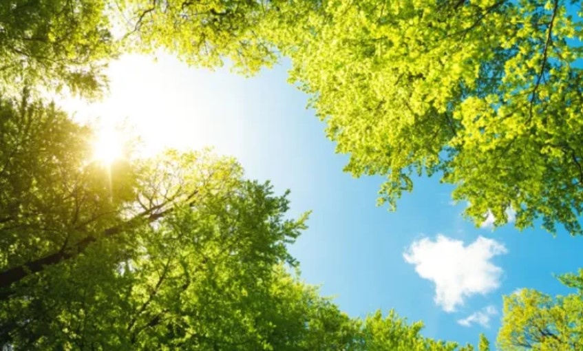 Днес ще бъде предимно слънчево След обяд ще се развива