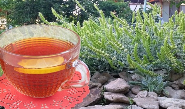 На 3 юни 2025 г Европейската комисия официално вписа Странджански