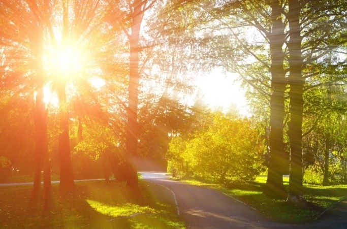 Днес преди обяд над по голямата част от страната ще е