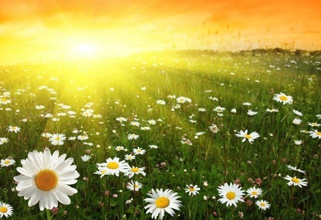 Днес ще бъде слънчево Вятърът ще бъде слаб от север северозапад