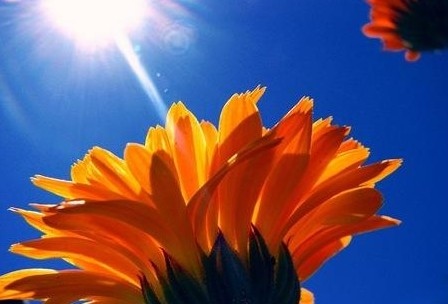 Днес ще бъде слънчево След обяд ще се развива купеста