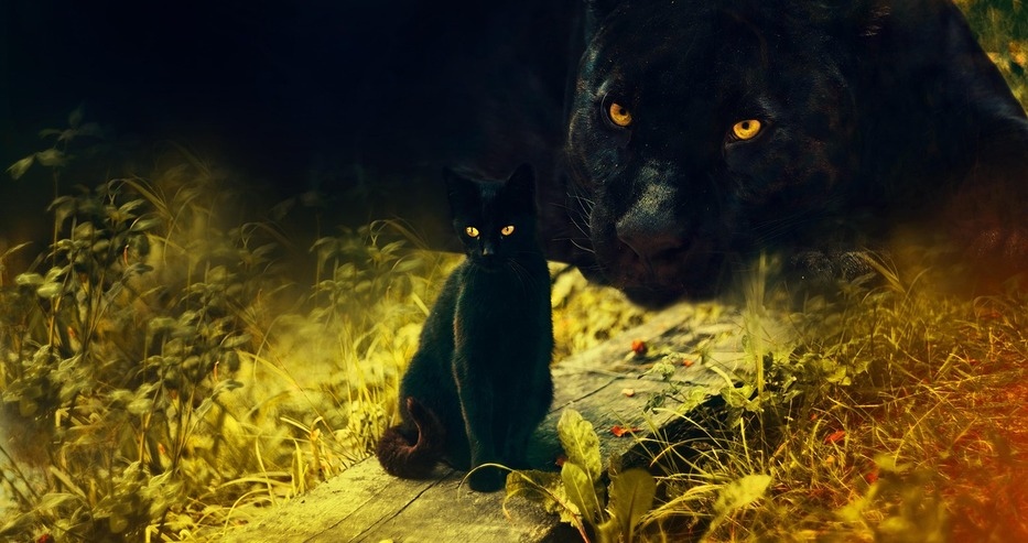 Какви ли не шеги и закачки породи ситуацията в Шумен