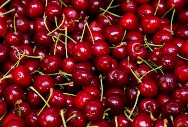 Тенденцията за ръст в цената на плодовете се запазва Това