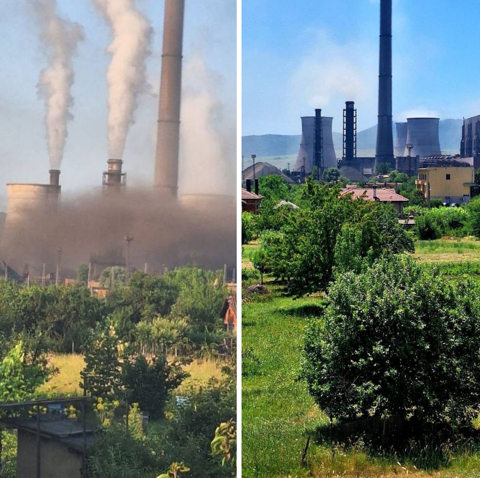 Зеленият октопод в което обкръжение е и Грийнпийс България изманипулира