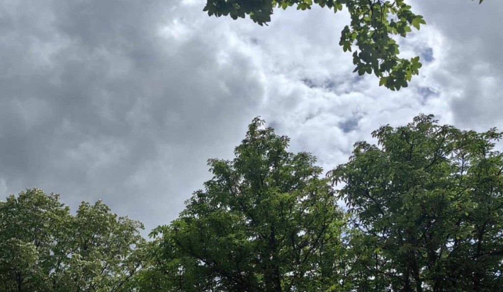 Днес вятърът ще се ориентира от север североизток и ще бъде