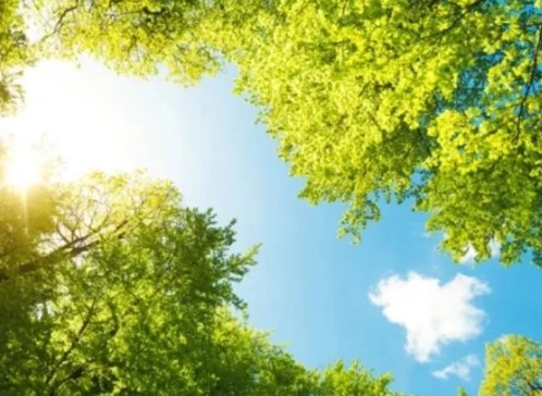 Днес още преди обяд валежите навсякъде ще спрат облачността ще