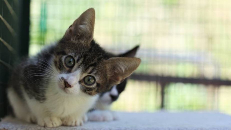 Европейският парламент прие на 19 юни законодателни мерки с които