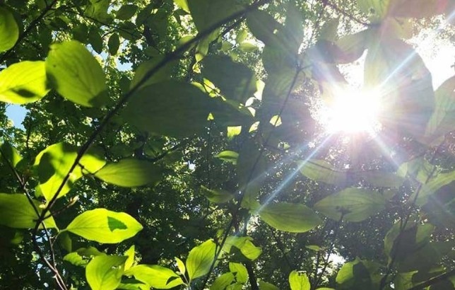 Днес облачността ще е променлива над много райони намаляваща до