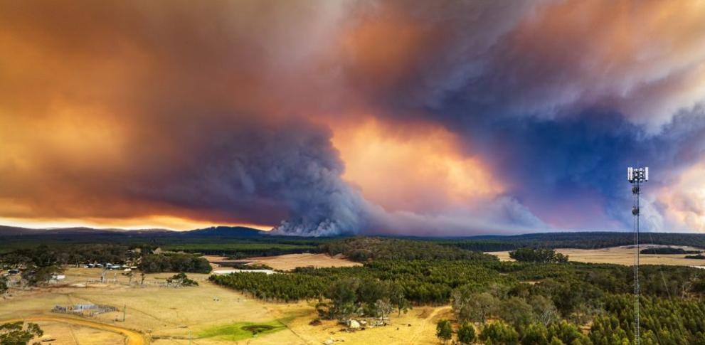 Сръбското правителство обяви вчера бедствено положение в 5 града и