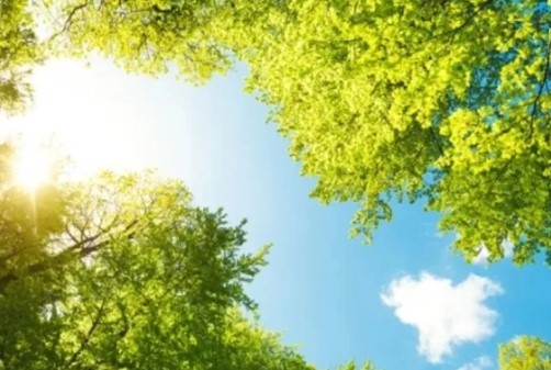 Днес ще преобладава слънчево време с временни увеличения на облачността