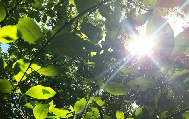 Днес преди обяд ще бъде предимно слънчево но около и