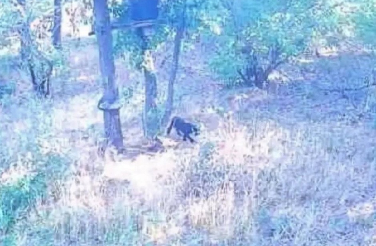 Нов сигнал е постъпил в Областната дирекция на МВР в