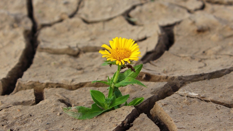 От близо година говорим за рекордна суша в България Температурите
