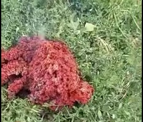 Изследванията на падналото от небето горящо меко тяло в частен