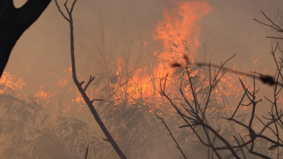 Най засегнатата страна от пожари за 2024 2025 година в Европейския съюз