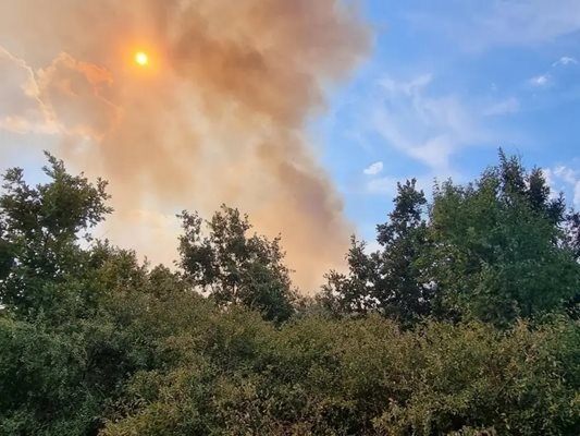 Локализиран е пожарът който избухна на километри от първомайското село