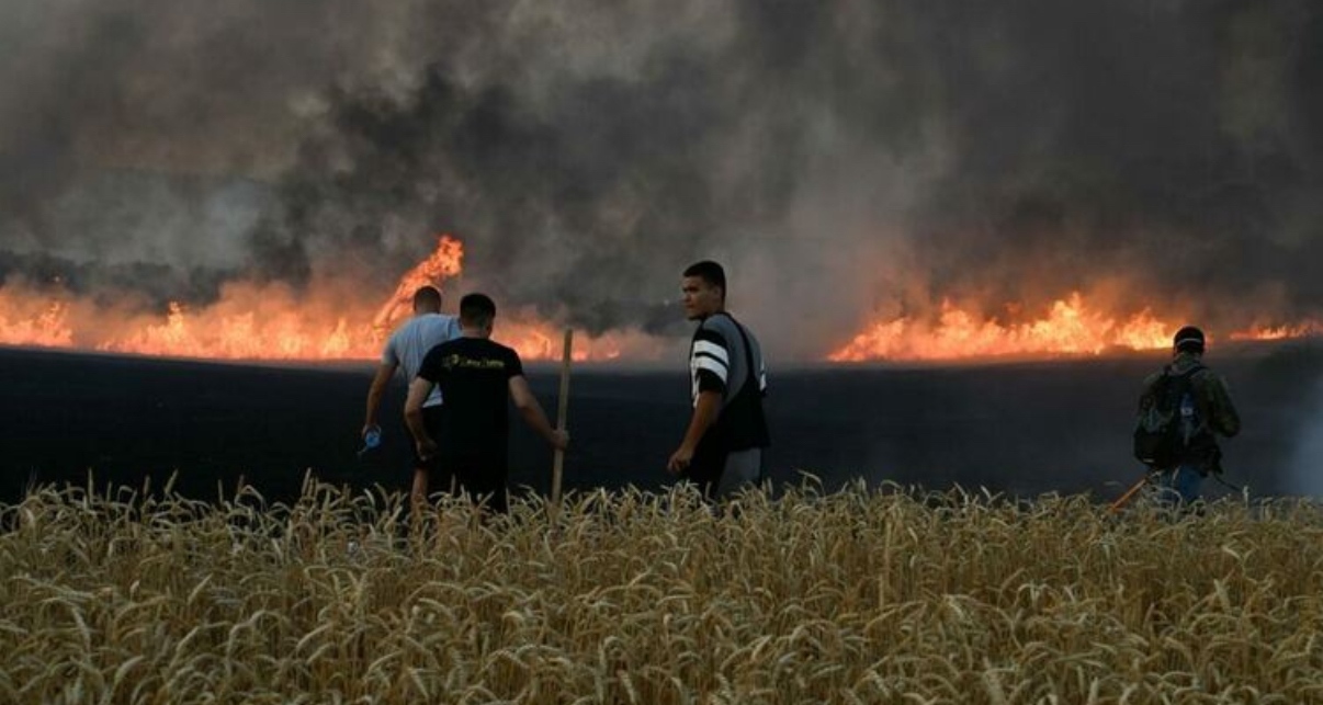 Пушекът от горящите къщи ниви гори не стига до жълтите