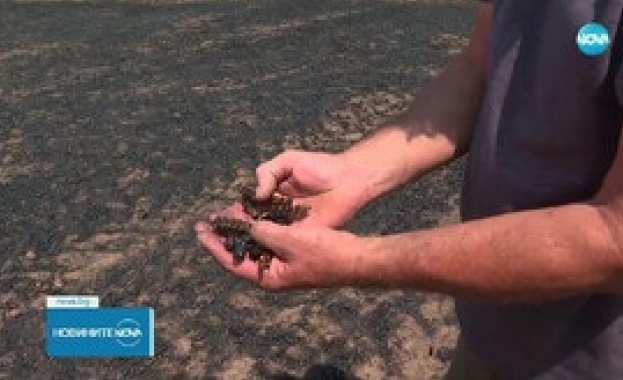 Жители на хасковска област се обединяват в борбата срещу умишлените