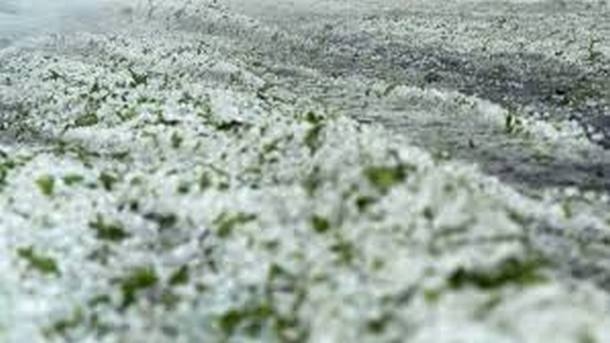 В рамките на днешния работен ден земеделските стопани с пропаднали