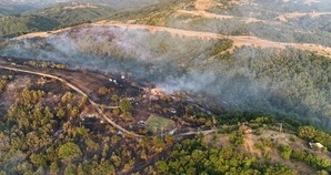 Към момента са подадени 20 заявления декларации за отпускане на еднократна