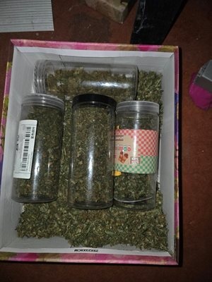 Столичната полиция разкри модерно оборудвана наркооранжерия в Студентски град Полицейската