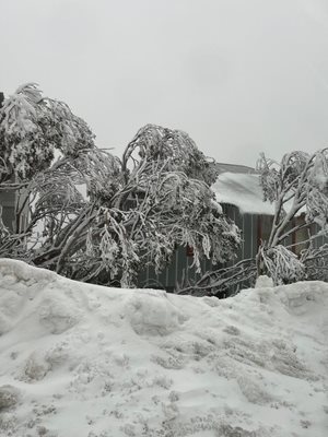 Няколко града в източна Австралия са блокирани от най голямата снежна