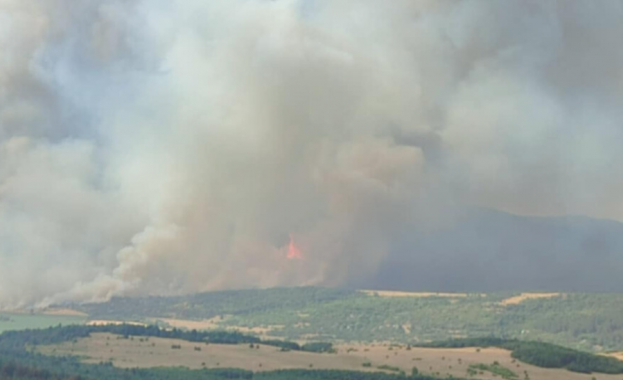 Под ръководството на Районна прокуратура Ловеч се провежда разследване