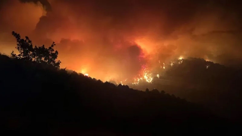 Още веднъж призовавам не палете огън на открито Това