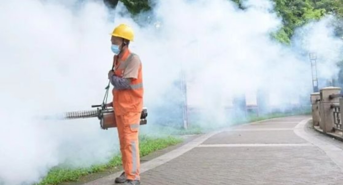 Повече от 7000 случая на вирусното заболяване чикунгуня са регистрирани