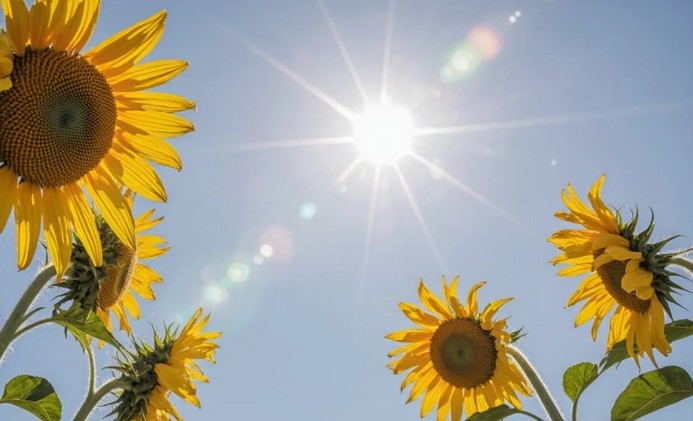 Днес ще бъде предимно слънчево След обяд ще се развива