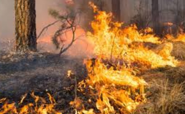 Продължава борбата с големия пожар в Сакар който обхвана над