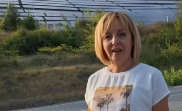 Председателят на гражданската платформа Изправи се БГ Мая Манолова в две