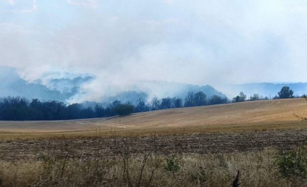 Пожарът в района на Харманли и Любимец е ограничен по